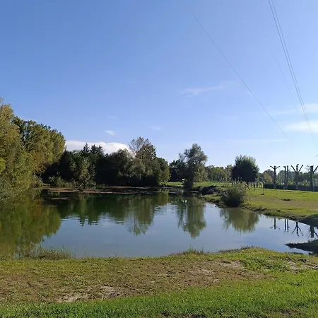 Le Guiness Proche Europa Park Et Rulantica Boofzheim